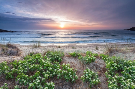 Sea - beach, sea, ocean, sun, sky