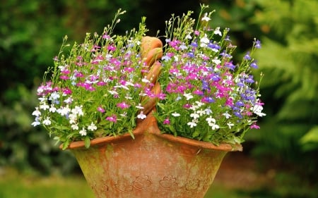 Flowers - flowers, beautiful, vase, colors