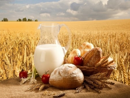 Nice Breakfast - wheat, breakfast, milk, food, bread