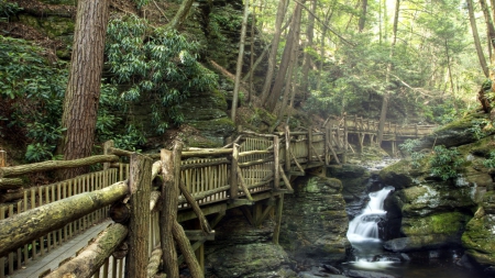 wonderful nature boardwalk over a stream - boardwalk, falls, forest, stream, rocks