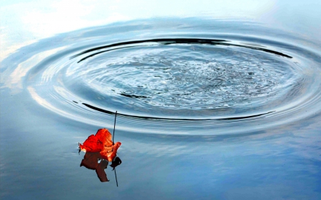 AUTUMN FLOAT - float, water, nature, autumn, swirl, leaf