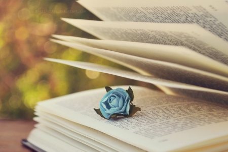 Poem - love, poem, liric, book, rose, blue, story, garden, relax