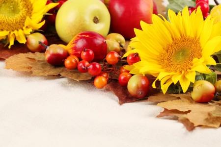 Autumn background - pretty, sunflowers, beautiful, lovely, harmony, fall, colorful, apples, nature, season, autumn, background, nice, golden, fruits, foliage