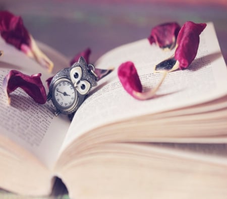 Owltime - free, silver, book, rose, cute, bird, clock, time, petals