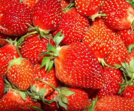 Strawberries - strawberry, garden, strawberries, fruit