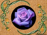 PURPLE ROSE