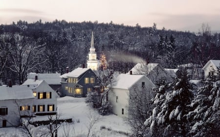 Winter Time - winter, forest, cold, snow