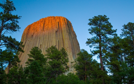 Devil's Tower - Trees, Mountains, Nature, USA