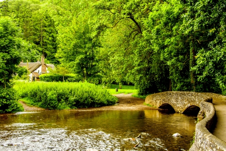 DUNSTER--VILLAGE Somerset England - dunster village, trees, somerset, united kingdom, forest, river, green, house, photo, bridge