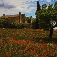 Finca at Mallorca, Spain