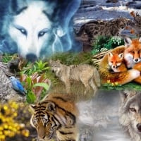 WILD ANIMALS COLLAGE