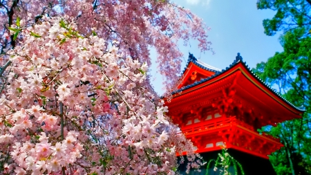 Pagoda - red, Japan, photo, pagoda, pink