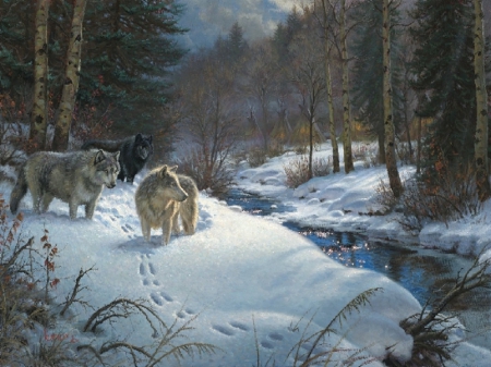 Wolves - Forest, Winter, Snow, Wolves