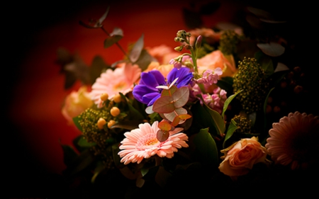 Beautiful flowers - flowers, dark, petals, pretty