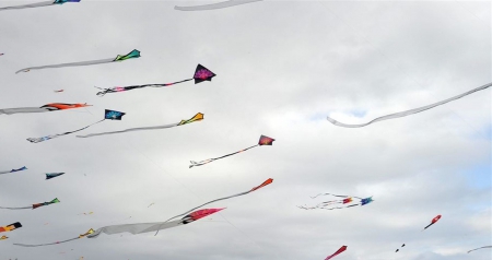 Go Fly A Kite - kite, flying kite, go fly a kite, kites flying