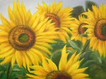 Sunflowers