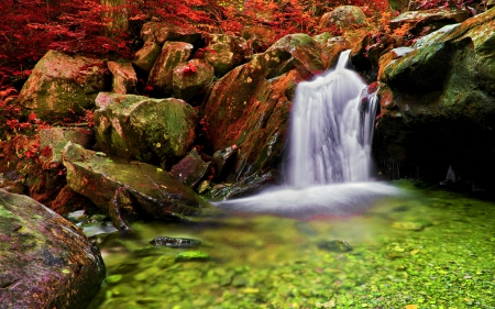 AUTUMN FALLS - nature, autumn, falls, forest