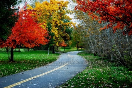 Path to Autumn Park - yellow, trees, red, leaves, colors