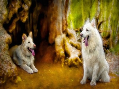 Dogs - Dogs, Forest, Dog, Pet