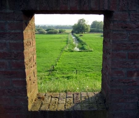 Countryside - abstract, nature, view, photography, grass, tree