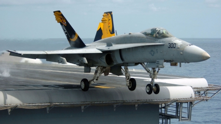 Carrier Takeoff - carrier jet, us carrier, carrier takeoff, us aircraft carrier, carrier landing