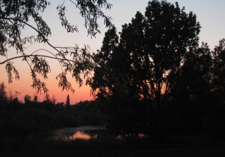 Sunset - sunset, nature, photography, sunsets, tree, sky