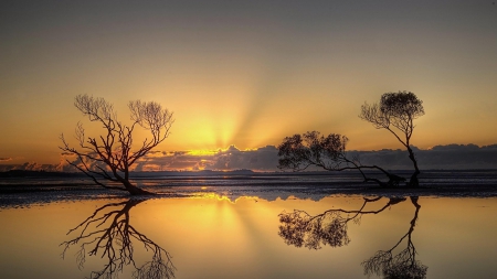 sunset behind reflections - reflections, clouds, trees, sunset, lake