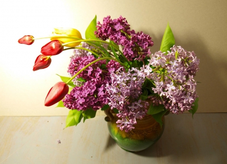 Still Life - flowers, purple, nature, lilacs