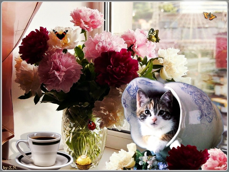 good morning - coffrr, flowers, candy, cat