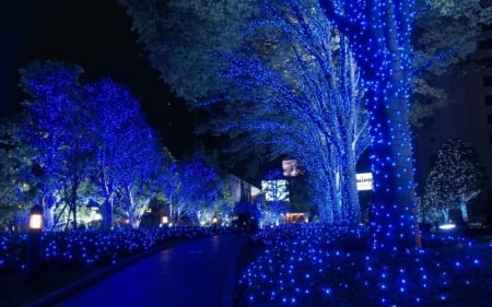 Cool Blue Lights - night, blue, lights, beautiful