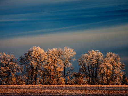 Look To The Sky - cloud, land, trees, amazing