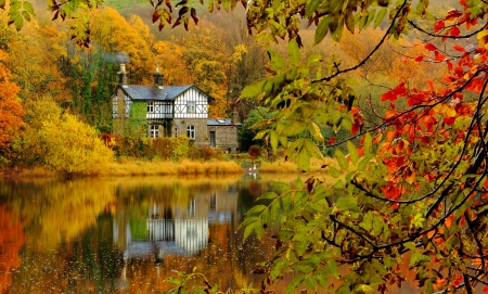 Lakeshore house - quiet, silence, forest, reflection, calmness, shore, lake, cottage, falling, house, branches, trees, colors, lakeshore, fall, colorful, river, nature, autumn, serenity, peaceful, foliage