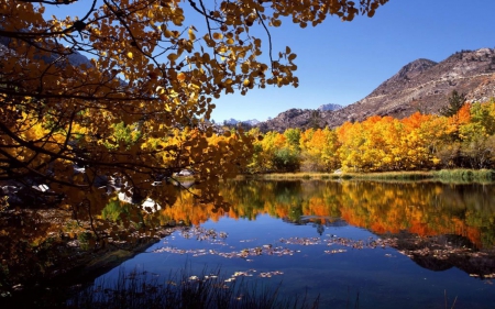 Eastern Sierra, California - fall, autumn, trees, reflection, water, colors