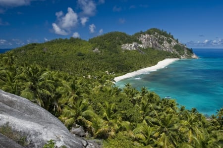 Paradise Beach - lush, beach, boulders, ocean, palm trees, paradise, seychelles, tropical, rocks, exotic, view, lagoon, sea