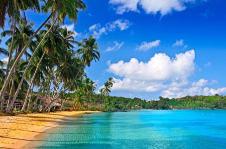 Breathtaking Polynesian Beach - palm trees, ocean, beach, islands, paradise, tropical, exotic, french, polynesia, blue, island, fiji, south pacific, sea, sand