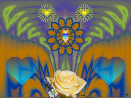 A Yellow Rose from Blue - eye candy, collage, 3d, fractal, abstract