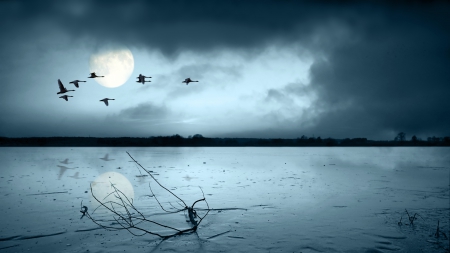 flight of swans over a moonlit lake - moon, lake, swans, reflection