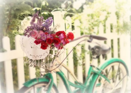 Flower Bike - nature, flowers, bike, soft