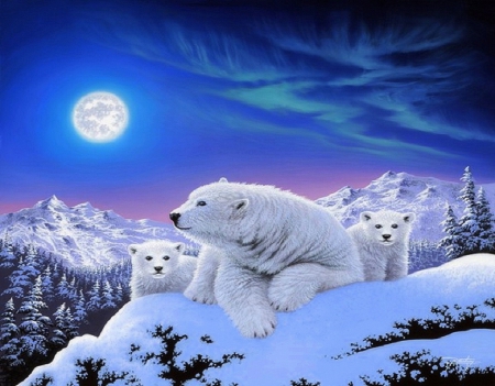 ✫Dreams of Polar Bears✫