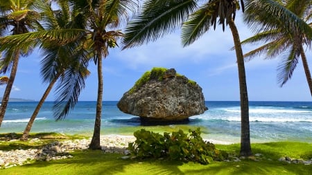 Caribbean islands - nice, sky, beach, stonem, water, rocks, vacation, sands, ocean, palm trees, islands, palms, summer, shore, lovely, plants, exotic, caribbean, nature, beautiful, rest, sea