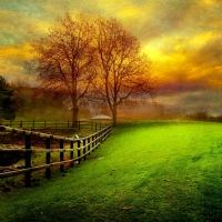 COUNTRY YARD  at DUSK