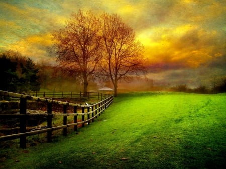 COUNTRY YARD  at DUSK - cloud, tree, field, sunset, country