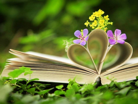 An Open Book - flowers, blossoms, nature, leaves