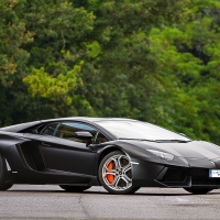 Real Hot Lamborghini