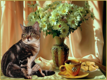 good morning - morning, coffee, flowers, cat