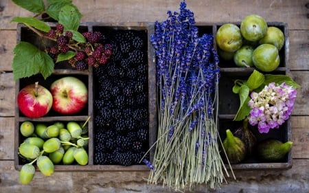 Harvest - lavender, acorns, harvest, wooden box, flower, leaves, berries, autumn, plum, garden, fruit, apple, hydrangea