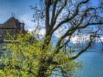 monastery on a lake