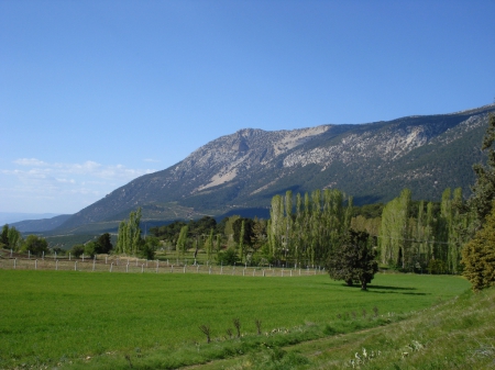 Green plains - tree, plains, mount, green