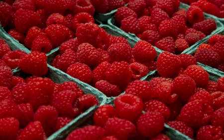 Berries - straw, berry, rasp, basket, raspberries, berries, fruit, friuits, red, food