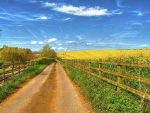 lovely country road